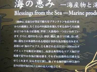 浄土ヶ浜の写真・動画_image_109735