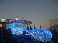 海遊館の写真・動画_image_109777