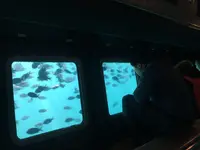 産直センターうらりの写真・動画_image_109813