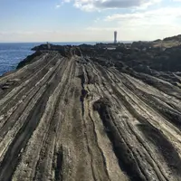 城ヶ島公園の写真・動画_image_109817