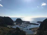宮川公園の写真・動画_image_109818