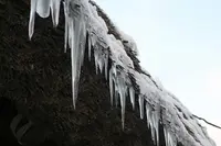白川郷合掌造りの写真・動画_image_109830