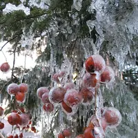 白川郷合掌造りの写真・動画_image_109833