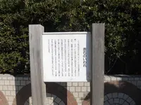 林崎松江海岸の写真・動画_image_109998