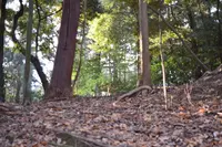 書写山の写真・動画_image_110125