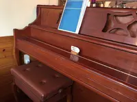 カフェミスギの写真・動画_image_110150