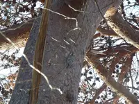 福浦橋の写真・動画_image_110288