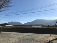 もちとこの写真・動画_image_110306