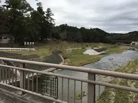 井伊谷宮の写真・動画_image_110317
