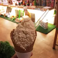 ウディックの写真・動画_image_110406