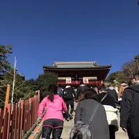 鶴岡八幡宮の写真・動画_image_110426