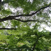 円覚寺の写真・動画_image_110464