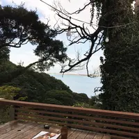 Cafe Madu ENOSHIMAの写真・動画_image_110495