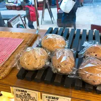 パン樹・久遠の写真・動画_image_110664