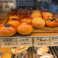 パン樹・久遠の写真・動画_image_110666