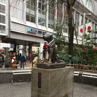 渋谷スクランブル交差点の写真・動画_image_110876