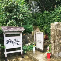 がらまんじゃくの写真・動画_image_110908