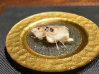 レンゲの写真・動画_image_110931