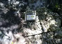 石上布都魂神社の写真・動画_image_111002