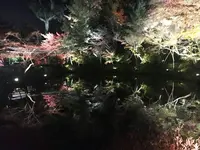 高台寺の写真・動画_image_111125
