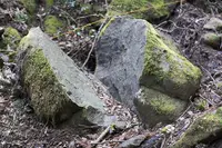 免の石の写真・動画_image_111180
