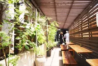 霧原の写真・動画_image_111245