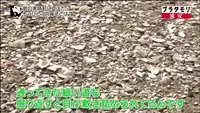 旧大塚家住宅の写真・動画_image_111390