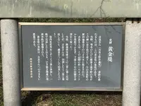 黄金堤の写真・動画_image_111417