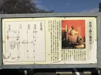 黄金堤の写真・動画_image_111422