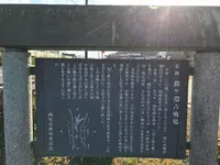 黄金堤の写真・動画_image_111423