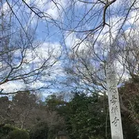 花岳寺の写真・動画_image_111432