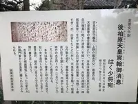 花岳寺の写真・動画_image_111474