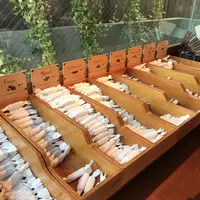 NUMBER SUGARの写真・動画_image_111539