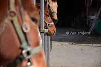 旨乃蔵の写真・動画_image_111591