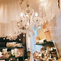 マリオネット 自由が丘店の写真・動画_image_111833