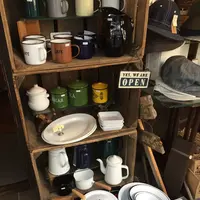 アンティークライフジンの写真・動画_image_112040