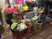 T-FOURの写真・動画_image_112046