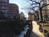 播磨坂の写真・動画_image_112083