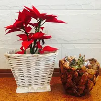 【閉業】リサイクルショップばら商店 下北沢店の写真・動画_image_112142