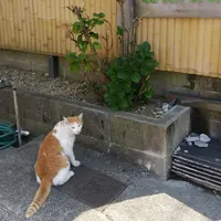 与八郎 カフェ&スイーツの写真・動画_image_112237