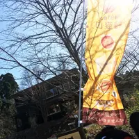 カフェ山猫軒の写真・動画_image_112260