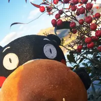DACCO bread+cafeの写真・動画_image_112263