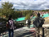 阿蘇ファームランドの写真・動画_image_112301