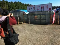 苺凛香 ばいりんかの写真・動画_image_112322