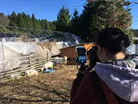 苺凛香 ばいりんかの写真・動画_image_112323