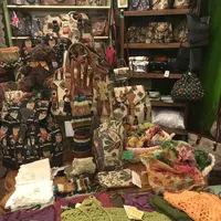 サンクチュアリの写真・動画_image_112325