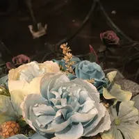 サンクチュアリの写真・動画_image_112326