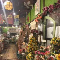 サンクチュアリの写真・動画_image_112327