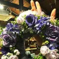 サンクチュアリの写真・動画_image_112328