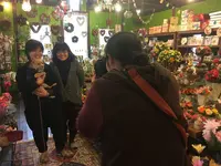 サンクチュアリの写真・動画_image_112330
